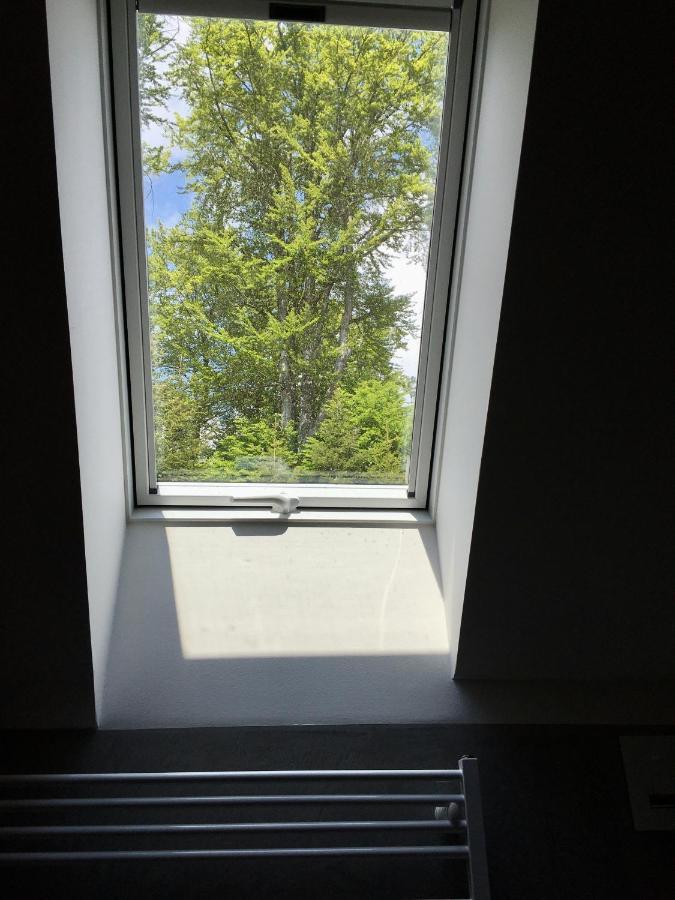 U Tri Bratru Apartment Bedrichov (Liberec)